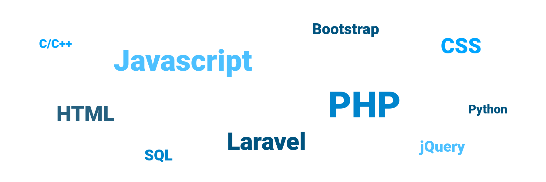 PHP, Javascript, Laravel, HTML, CSS, jQuery, Bootstrap, SQL, C/C++, Python